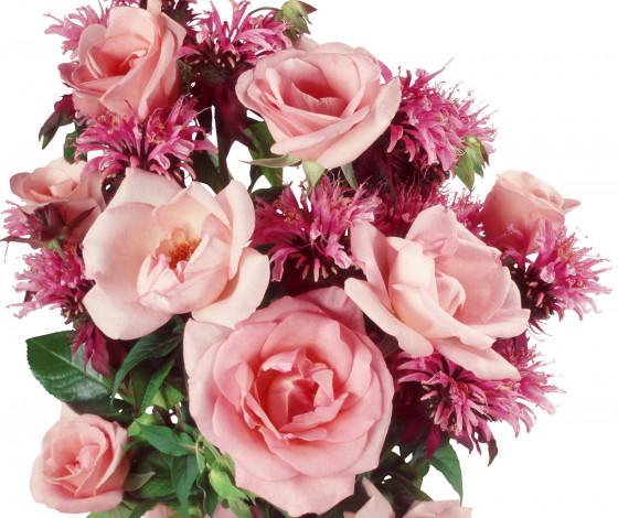 Обои картинки фото цветы, букеты, композиции, розы, зелень