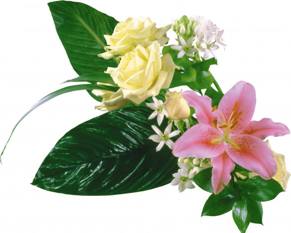 Обои картинки фото цветы, букеты, композиции, розы, листья, лилия