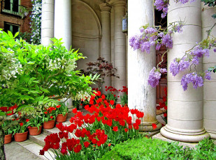 Картинка разное компьютерный+дизайн кусты дом цветы