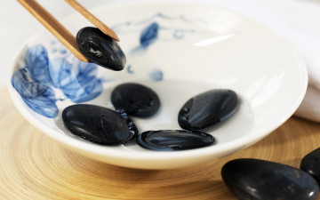 Картинка разное ракушки +кораллы +декоративные+и+spa-камни вода камни палочки