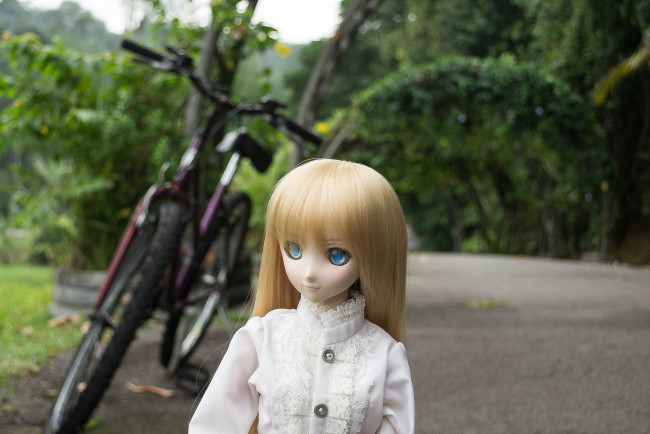 Обои картинки фото разное, игрушки, кукла, игрушка