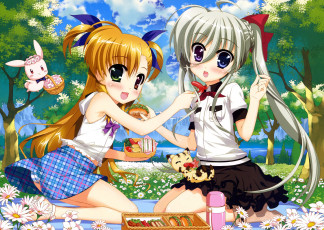 Картинка аниме mahou+shoujo+lyrical+nanoha mahou shoujo lyrical nanoha sacred heart девушки fujima takuya einhart stratos asteion пикник животные еда vivio