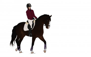 Картинка рисованное животные +лошади лошадь жокей