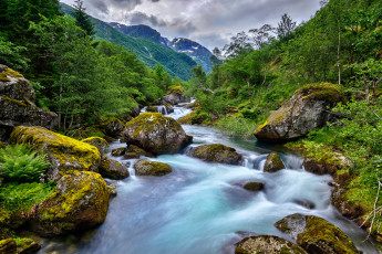 Картинка природа реки озера река лес