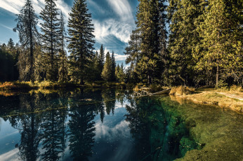 Картинка природа реки озера река лес