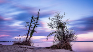 Картинка природа реки озера река лес