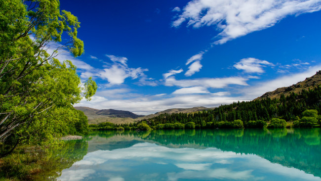 Обои картинки фото природа, реки, озера, лес, река
