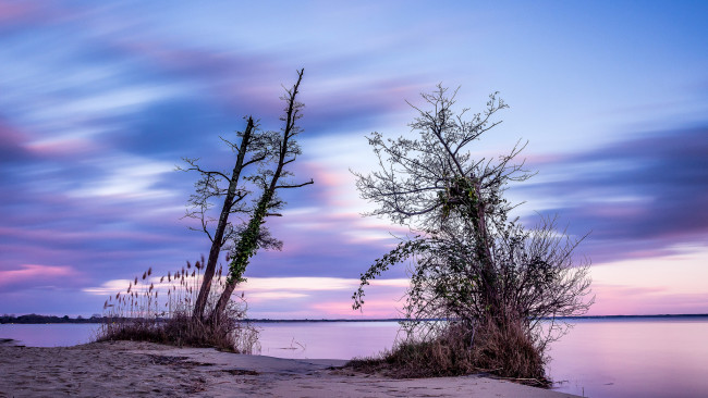 Обои картинки фото природа, реки, озера, река, лес