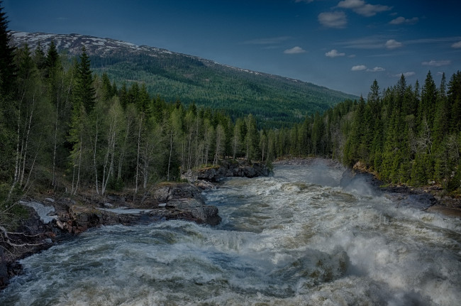 Обои картинки фото природа, реки, озера, лес, река