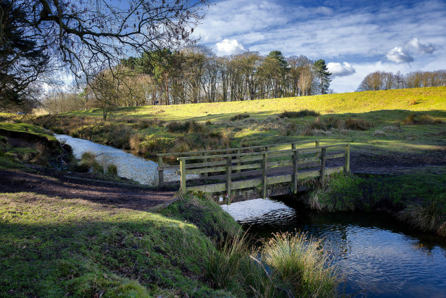 Обои картинки фото природа, реки, озера, лес, река