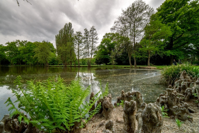 Обои картинки фото природа, реки, озера, река, лес