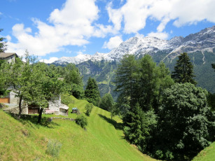 Картинка природа горы лес