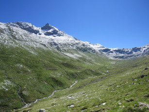 Картинка природа грибы горы