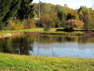 Картинка природа реки озера вода отражение