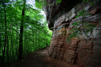 Картинка природа дороги тракт