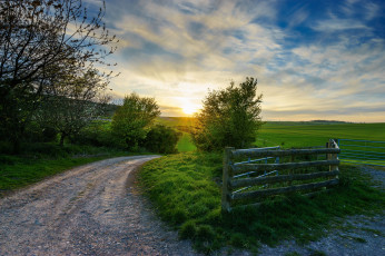 Картинка природа дороги тракт