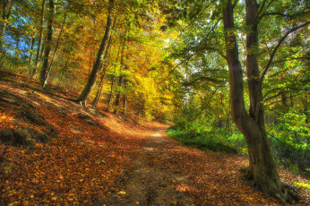 Картинка природа дороги тракт