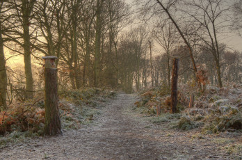 Картинка природа дороги тракт