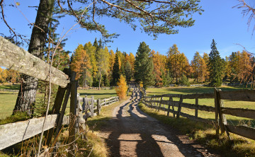 Картинка природа дороги тракт