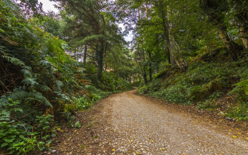 Картинка природа дороги тракт