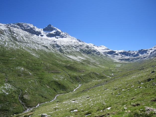 Обои картинки фото природа, грибы, горы