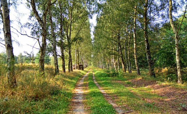 Обои картинки фото природа, дороги, тракт