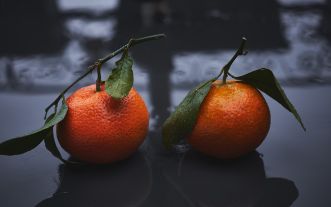 Обои картинки фото еда, цитрусы, мандарины