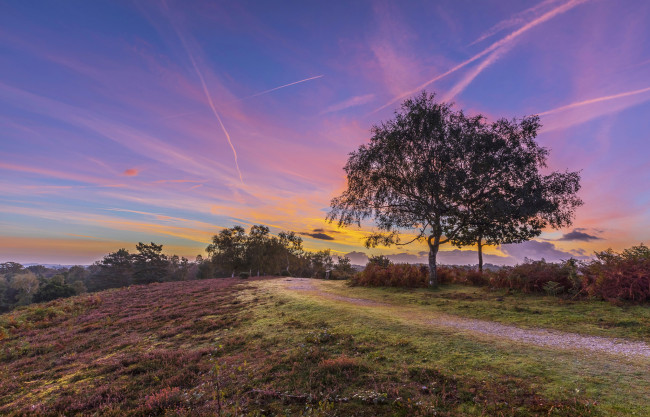 Обои картинки фото природа, дороги, тракт