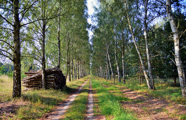 Обои картинки фото природа, дороги, тракт