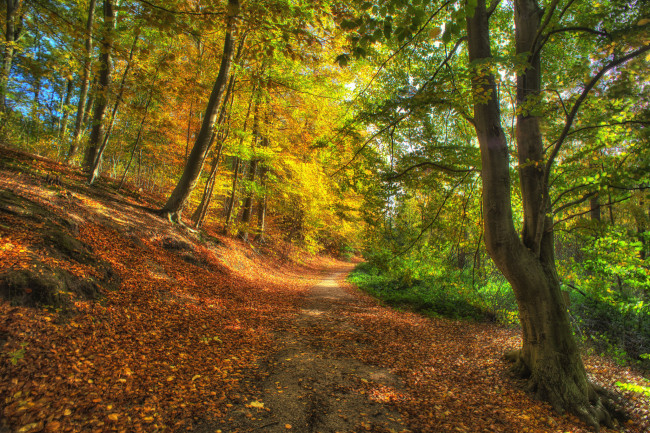 Обои картинки фото природа, дороги, тракт