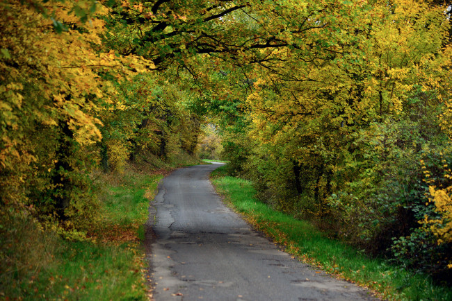 Обои картинки фото природа, дороги, тракт