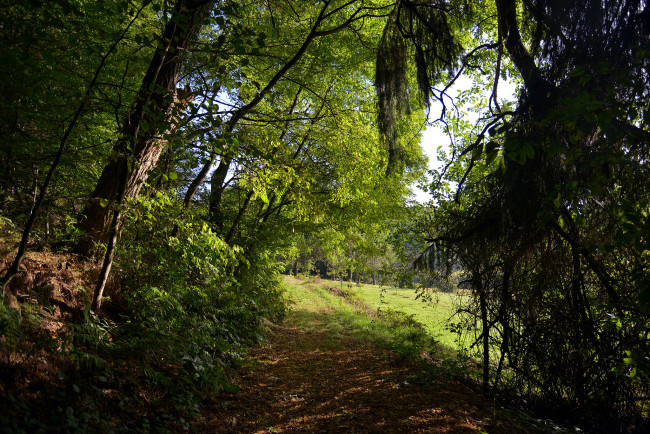 Обои картинки фото природа, дороги, тракт