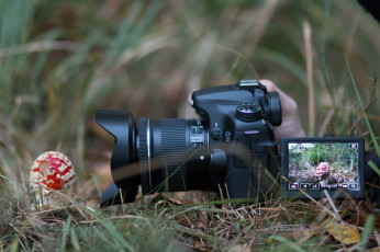 обоя бренды, cancun, фотокамера