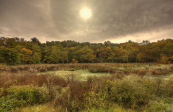 Картинка природа реки озера простор