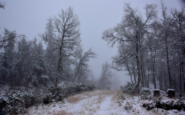 Картинка природа зима простор