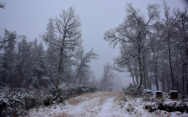 Обои картинки фото природа, зима, простор