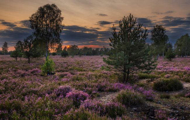 Обои картинки фото природа, пейзажи, простор