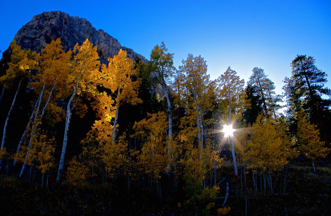 Обои картинки фото природа, пейзажи, простор