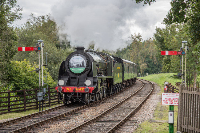 Обои картинки фото техника, паровозы, локомотив, состав