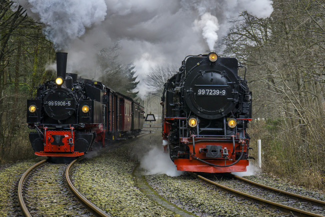 Обои картинки фото техника, паровозы, локомотив, состав