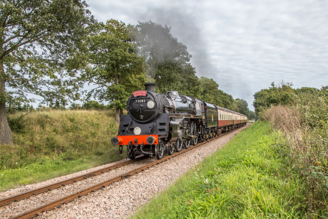 Обои картинки фото техника, паровозы, состав, локомотив