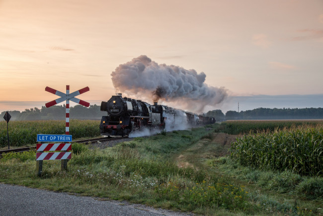 Обои картинки фото техника, паровозы, состав, локомотив