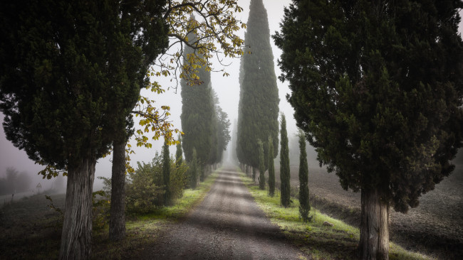 Обои картинки фото природа, дороги, тоскана