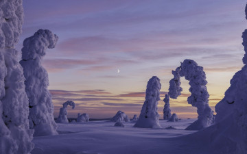 Картинка природа зима снег сугробы