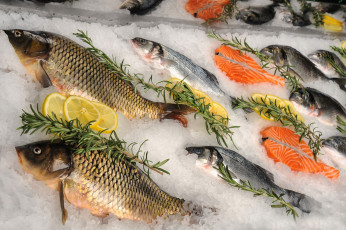 Картинка еда рыба +морепродукты +суши +роллы лед свежая розмарин лимон карп форель