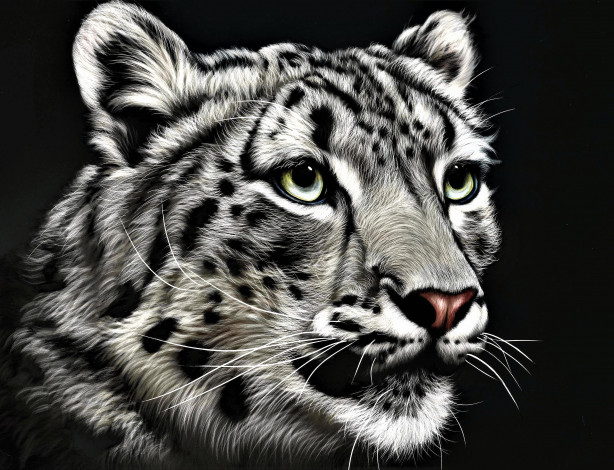 Обои картинки фото рисованное, животные,  барсы, барс, ирбис, голова