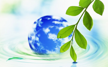 Картинка векторная графика