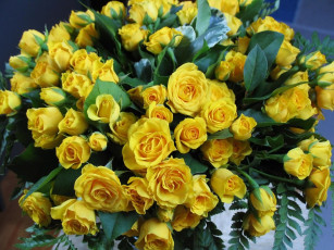 Картинка цветы розы