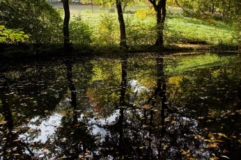 Картинка природа реки озера