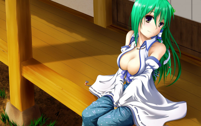 Обои картинки фото аниме, touhou